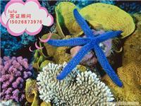 韓亞旅游信息咨詢 印度簽證材料簡化、陸路代辦價格與票務代售服務詳解