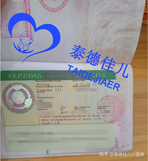 烏克蘭簽證辦理指南 試管醫(yī)療簽證、落地簽政策與代辦服務(wù)解析